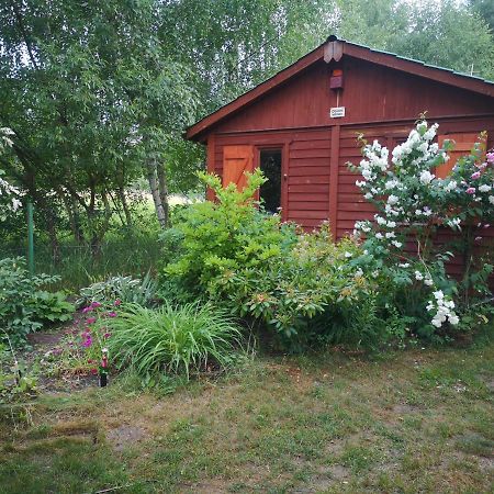 Domki Domek Na Jeziorem Wilczynskim Budzislawskim , Las, Osobno Ogrodzony 2-6 Osob- Klimatyzacja, Ogrzewanie, 62-550 Zygmuntowo Gm Wilczyn Kültér fotó