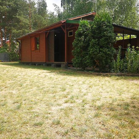 Domki Domek Na Jeziorem Wilczynskim Budzislawskim , Las, Osobno Ogrodzony 2-6 Osob- Klimatyzacja, Ogrzewanie, 62-550 Zygmuntowo Gm Wilczyn Kültér fotó