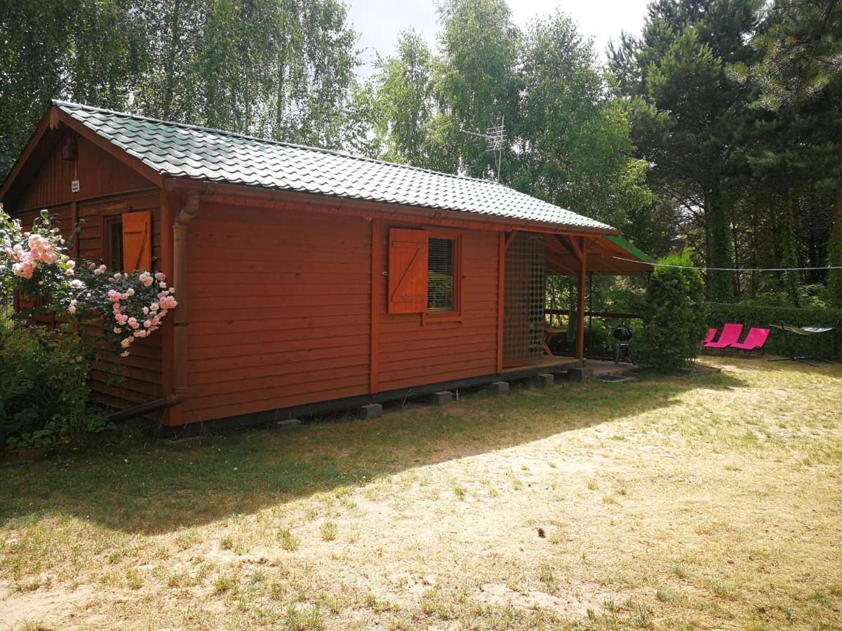 Domki Domek Na Jeziorem Wilczynskim Budzislawskim , Las, Osobno Ogrodzony 2-6 Osob- Klimatyzacja, Ogrzewanie, 62-550 Zygmuntowo Gm Wilczyn Kültér fotó