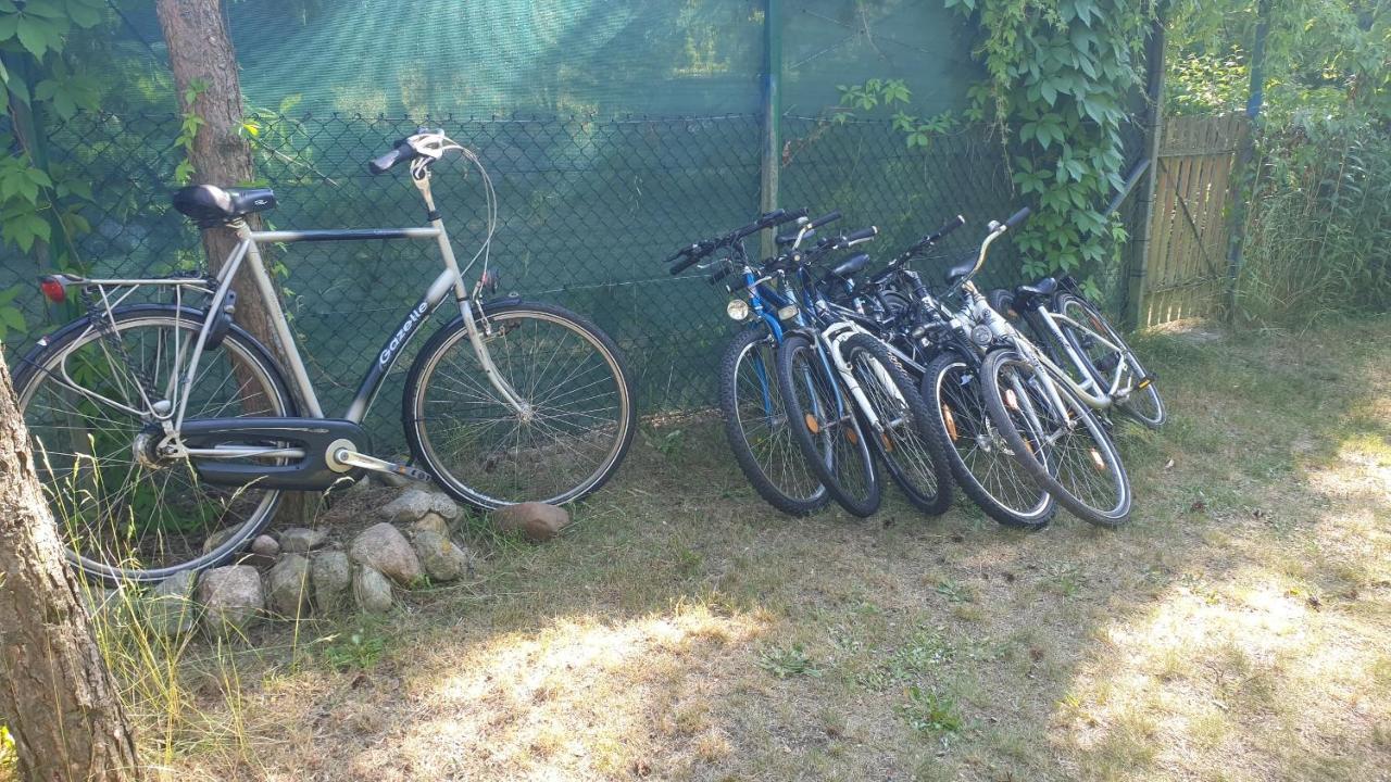 Domki Domek Na Jeziorem Wilczynskim Budzislawskim , Las, Osobno Ogrodzony 2-6 Osob- Klimatyzacja, Ogrzewanie, 62-550 Zygmuntowo Gm Wilczyn Kültér fotó