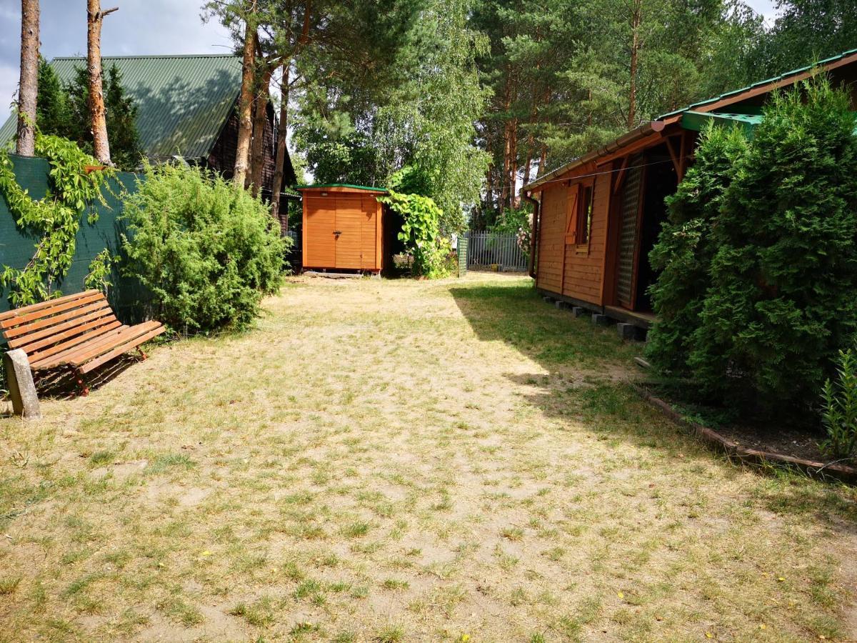 Domki Domek Na Jeziorem Wilczynskim Budzislawskim , Las, Osobno Ogrodzony 2-6 Osob- Klimatyzacja, Ogrzewanie, 62-550 Zygmuntowo Gm Wilczyn Kültér fotó