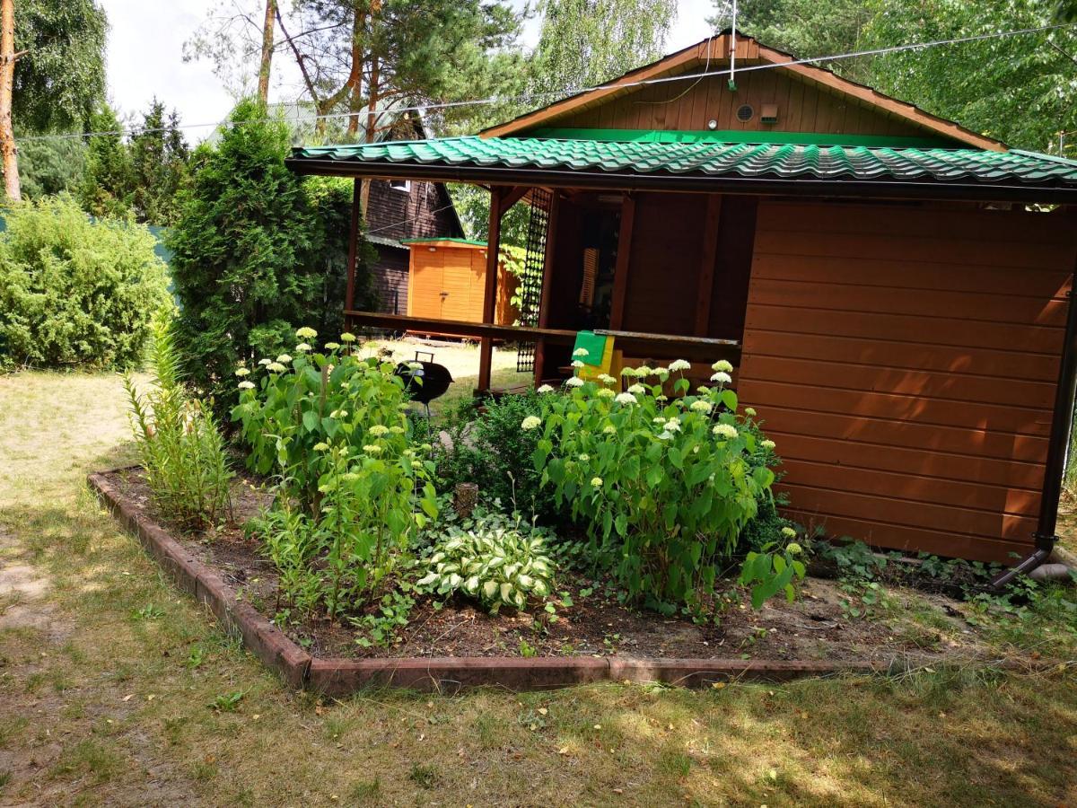 Domki Domek Na Jeziorem Wilczynskim Budzislawskim , Las, Osobno Ogrodzony 2-6 Osob- Klimatyzacja, Ogrzewanie, 62-550 Zygmuntowo Gm Wilczyn Kültér fotó