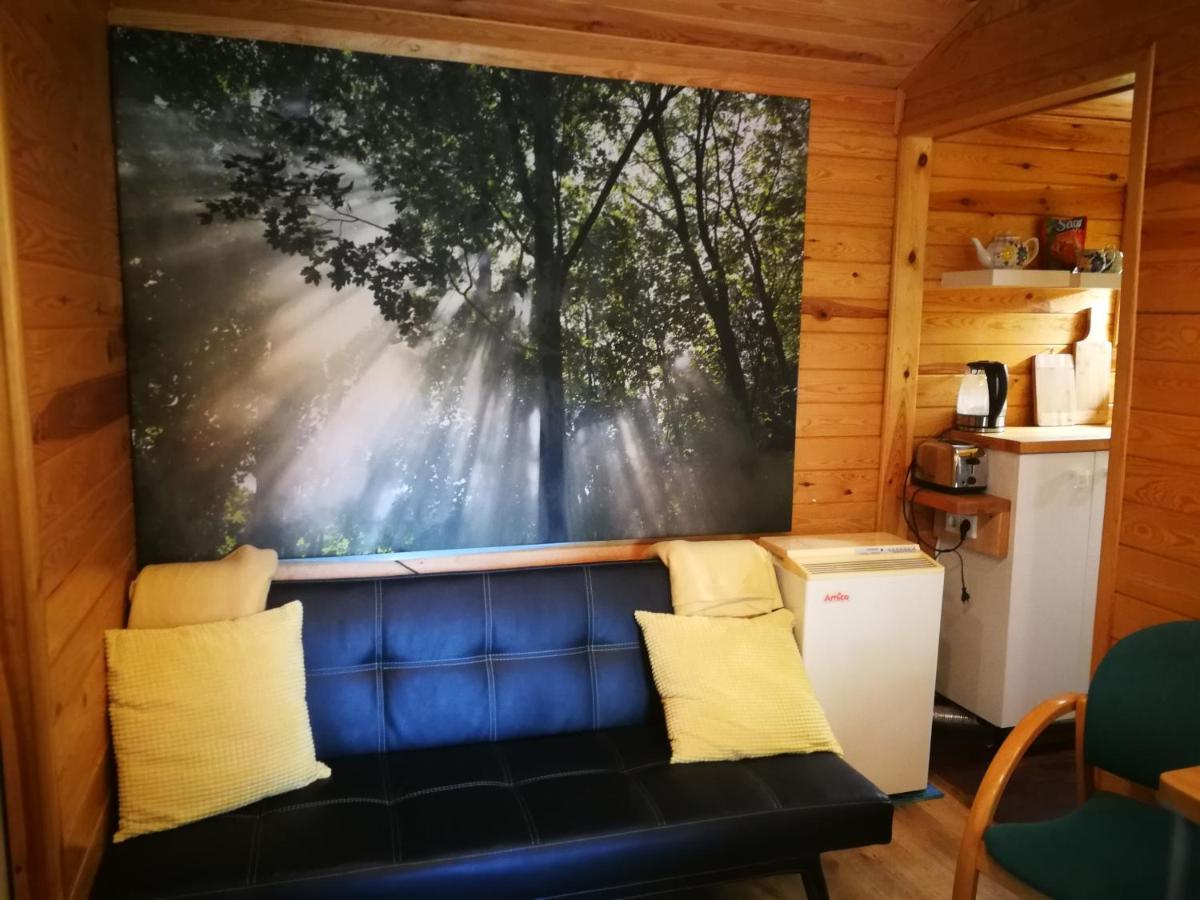 Domki Domek Na Jeziorem Wilczynskim Budzislawskim , Las, Osobno Ogrodzony 2-6 Osob- Klimatyzacja, Ogrzewanie, 62-550 Zygmuntowo Gm Wilczyn Kültér fotó