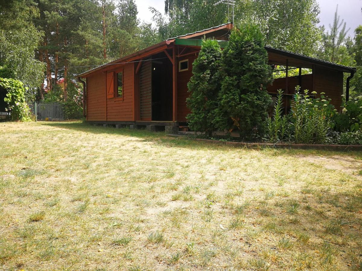 Domki Domek Na Jeziorem Wilczynskim Budzislawskim , Las, Osobno Ogrodzony 2-6 Osob- Klimatyzacja, Ogrzewanie, 62-550 Zygmuntowo Gm Wilczyn Kültér fotó